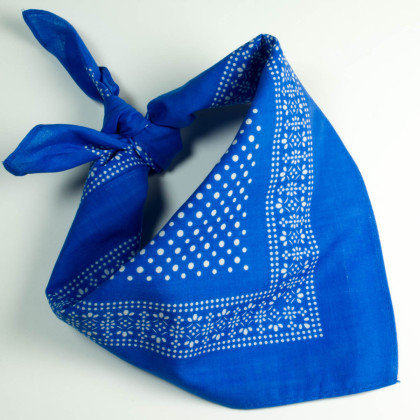 Bandana bleu "Un été dans l'herbe"