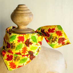 Bandana "Vendémiaire"