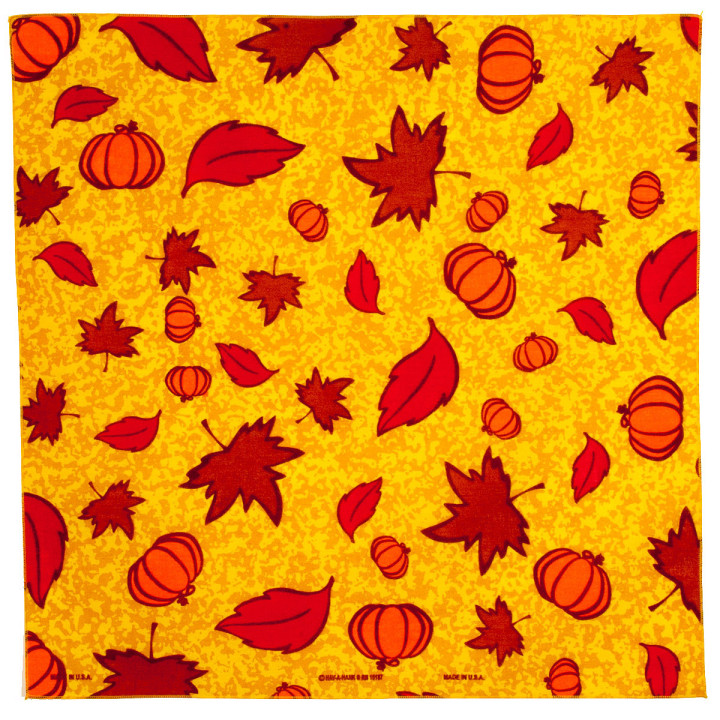 Bandana "Pumpkins"