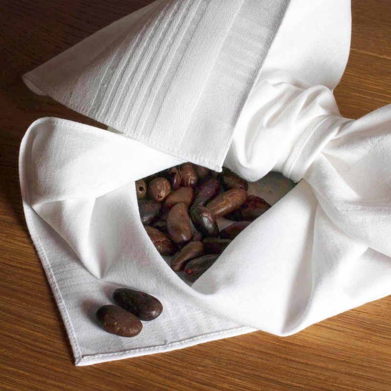 Mouchoirs biologiques "HANKISS Ice" (x6)