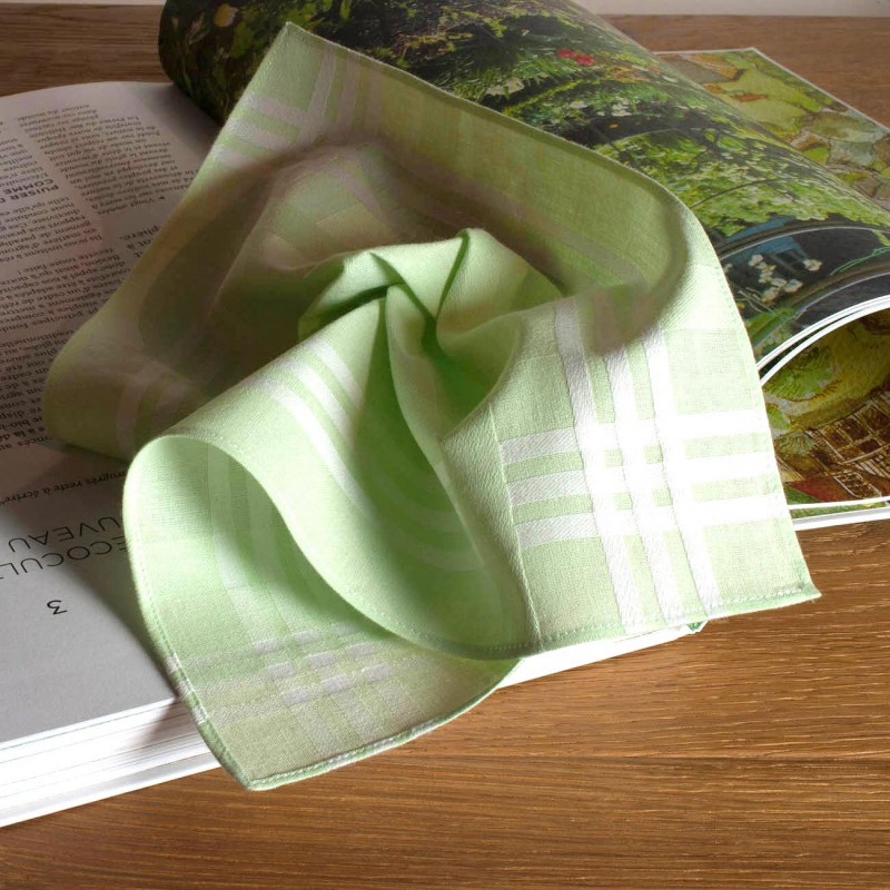 Mouchoirs biologiques "HANKISS Spring" (x6)