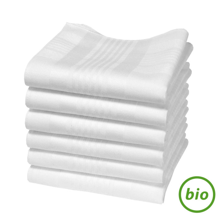 Mouchoirs en coton bio "HANKISS Ice" (x6)