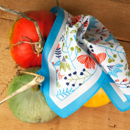 Mouchoirs "Zéphir" (x9)