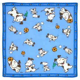 Mouchoirs "Soccer" (x6)