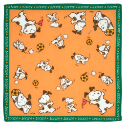 Mouchoirs "Soccer" (x6)