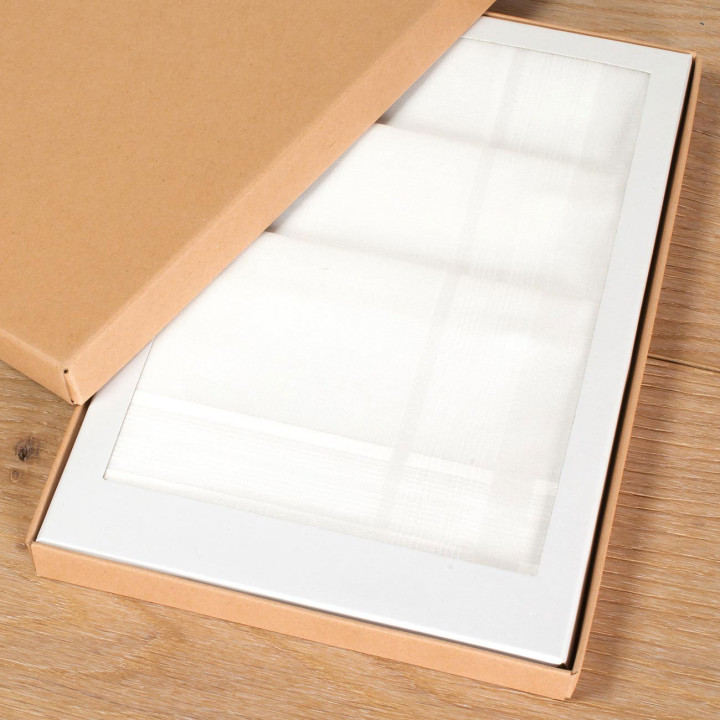 Mouchoirs ALBIN (x3)