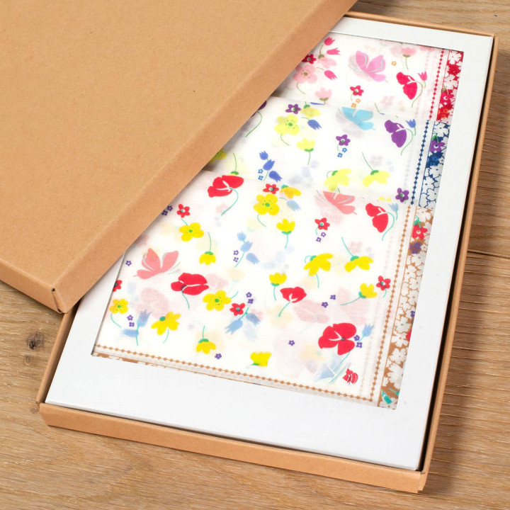 Mouchoirs TONAMI (x3)