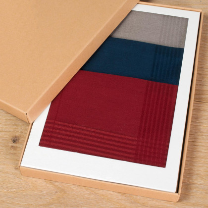 Mouchoirs GRENAT (x3)