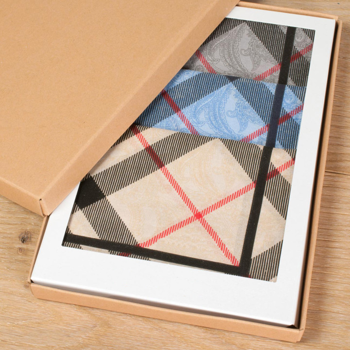 Mouchoirs DUNCAN (x3)