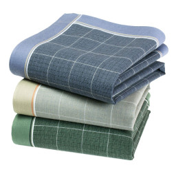 Mouchoirs HELIODORE (x3)