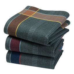 Mouchoirs BERYL (x3)