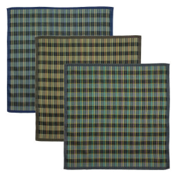 Mouchoirs AMEGREEN (x3)